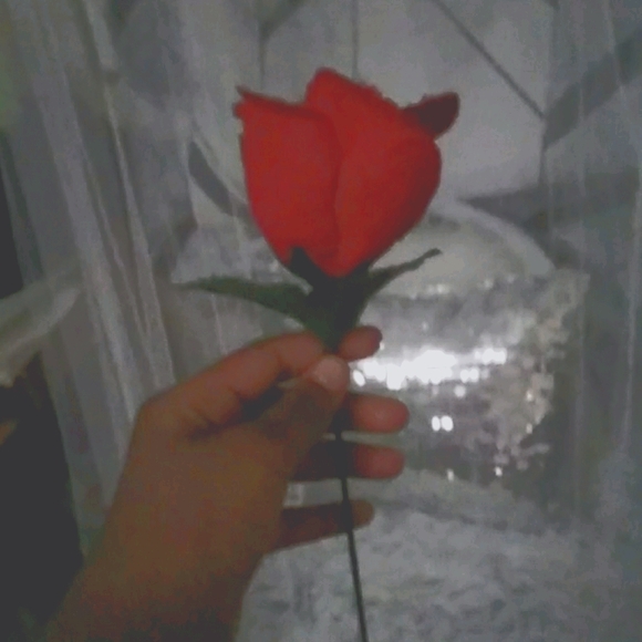 Flowers - Picture 1 of 4